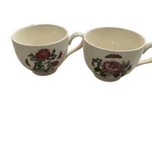 Two Portmeirion Botanic Garden Bristol tea cups